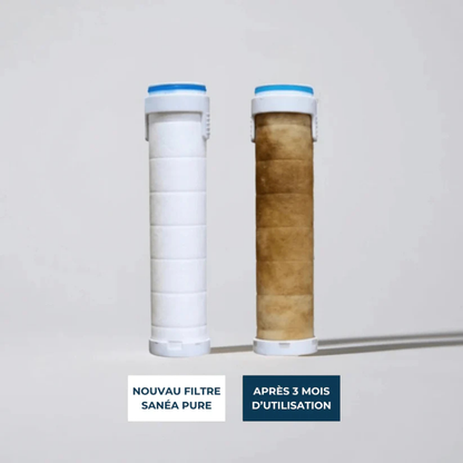 Pommeau de douche 3-en-1-HydroShower®