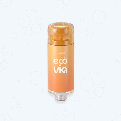Filtre de douche Ecovia HydroShower