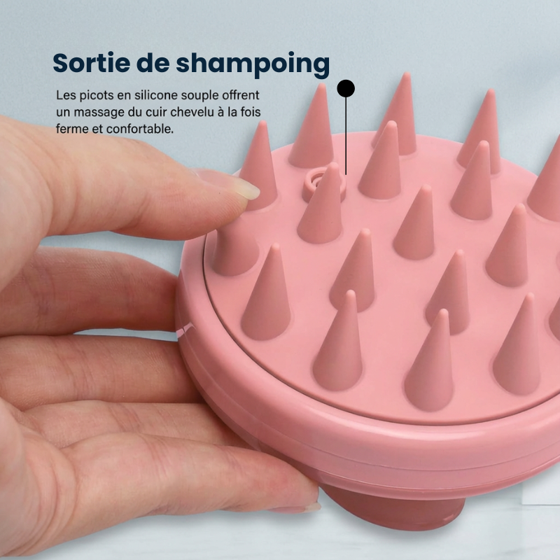 Recharge De Tête De Brosse Rechange Oblongue 2 Pièces Pour Ensembles Compagnon Recharge De Tête De Brosse Rechange Oblongue 2 Pièces Pour Ensembles Compagnon
