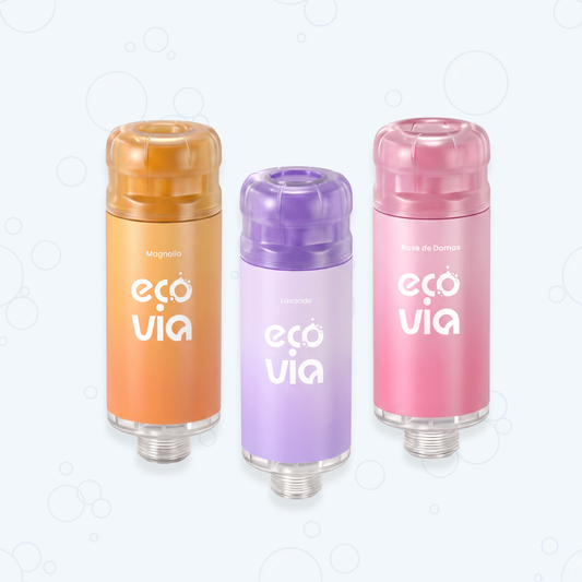 Filtre de douche Ecovia HydroShower